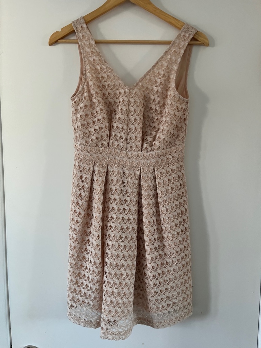 BCBGeneration Sleeveless Lace A-Line Dress in Blush